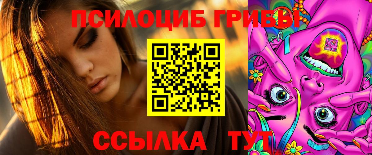 Галлюциногенные грибы Psilocybe Невинномысск